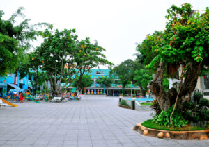 Hình Trường năm 2018